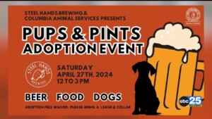 Columbia Animal Services Adoption Special