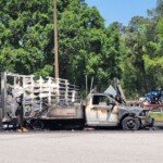 Orangeburg County Fire 7