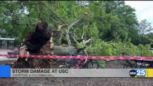 Usc Storm Damage