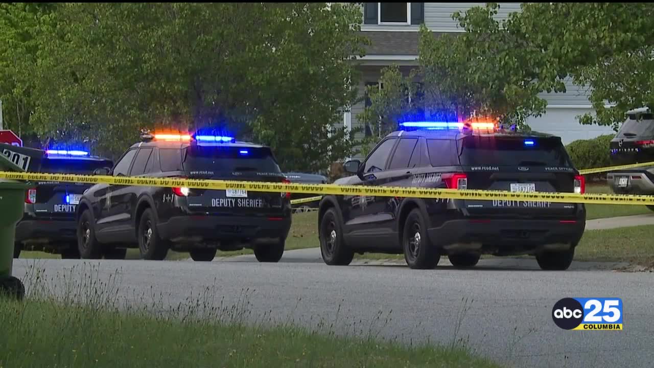 Stolen car chase in Richland County ends in teen shot - ABC Columbia