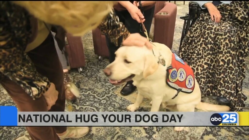 National Hug Your Dog Day Archives - ABC Columbia