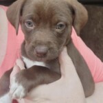 Winnie
