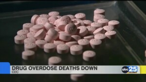 Cdc: Drug Overdose Deaths Decreased