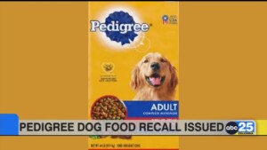 Pedigree Dog Food Recall