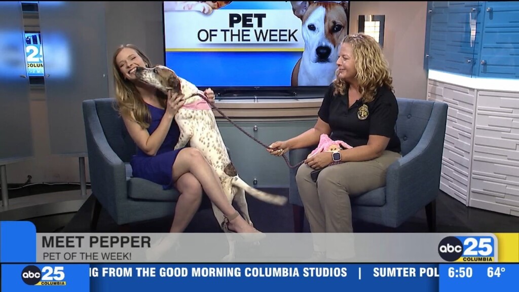 Pet Of The Week: Pepper