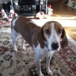Molly