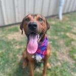 Axel