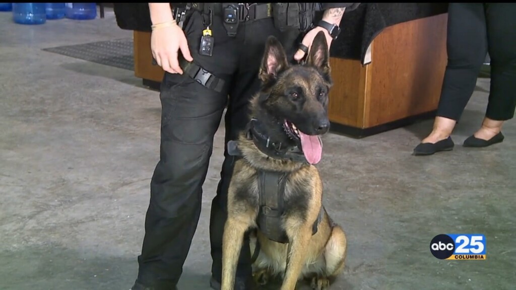 K9 Kobe Pkg