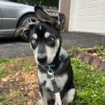 Tucker Beam