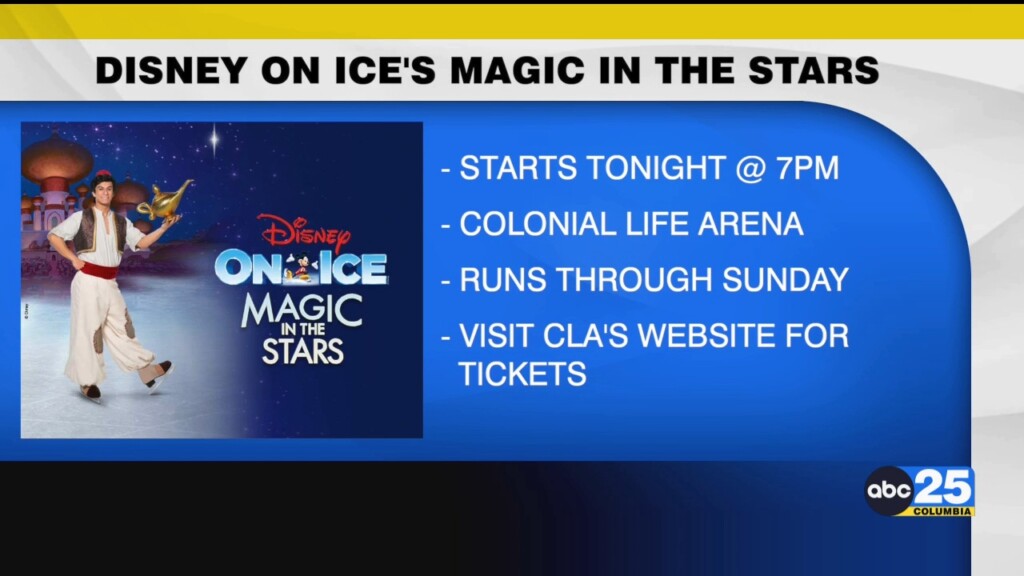 Disney On Ice's Magic In The Stars