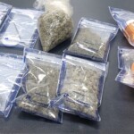 Orangeburg Arrest