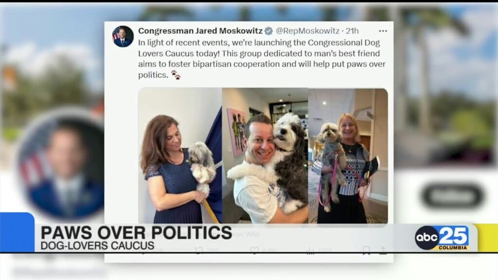 Bipartisan Lawmakers Form A Congressional Dog Lovers Caucus