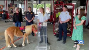 5 Year Old Therapy Horse Becomes Newest Member Of Cayce Fire Department