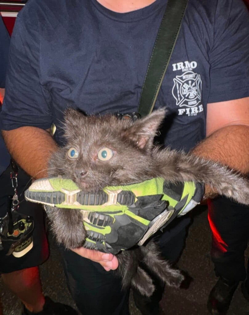 Irmo Firefighters Save Cat