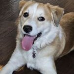 Penny