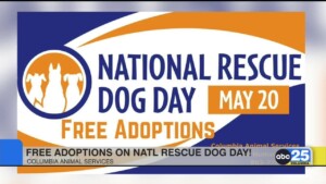Columbia Animal Services Celebrates National Rescue Dog Day With Free Adoptions