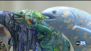 Columbia Streams Art Event