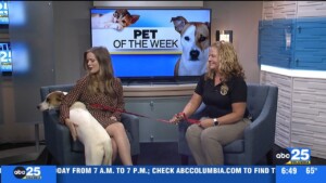 Pet Of The Week 6 11