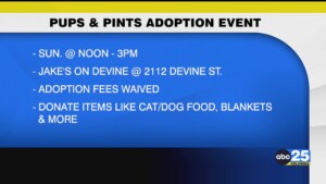 Animal Services Pups & Pints Adoption Event
