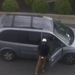 Cpd theft