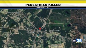 Coroner: Teen Killed After Lexington County Collision
