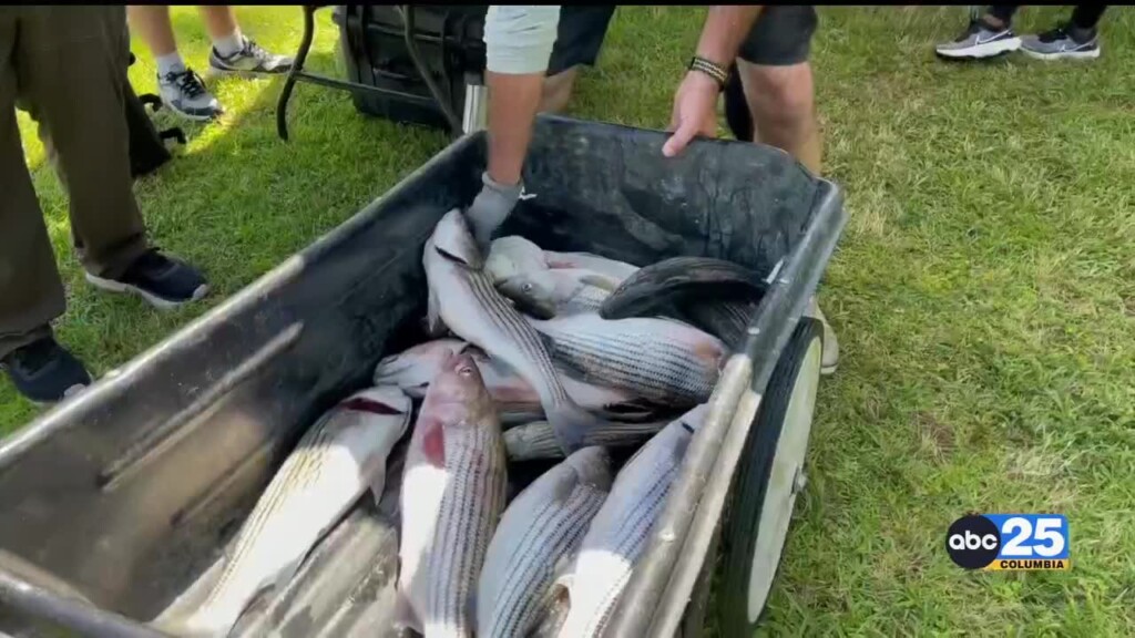 12th Annual Fishing Derby Held For Local Veterans