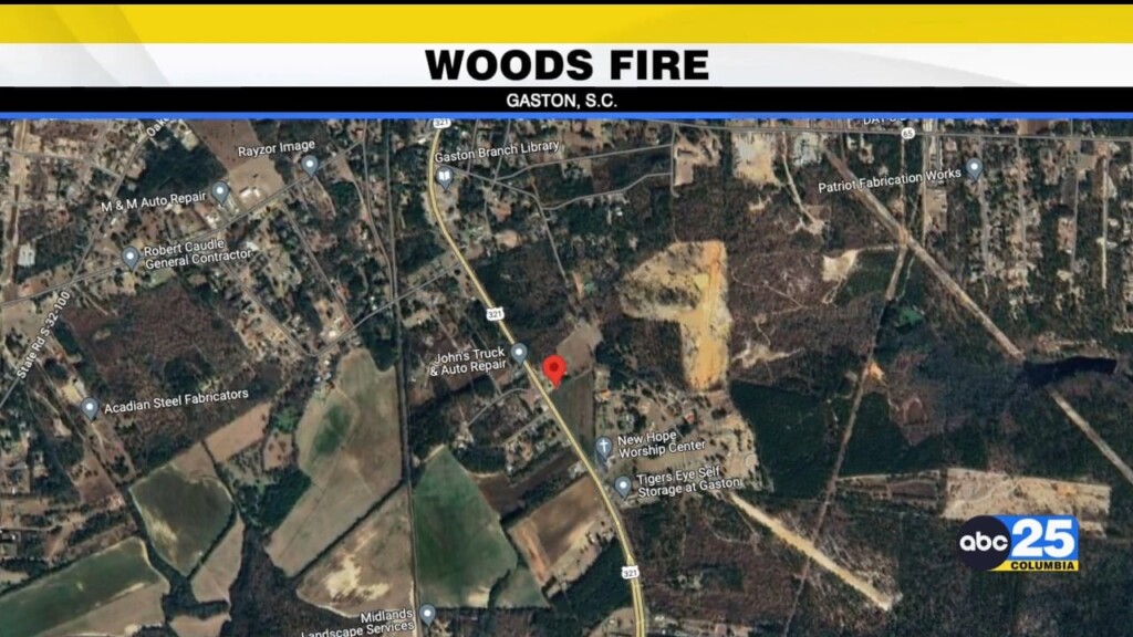 Lexington County Woods Fire