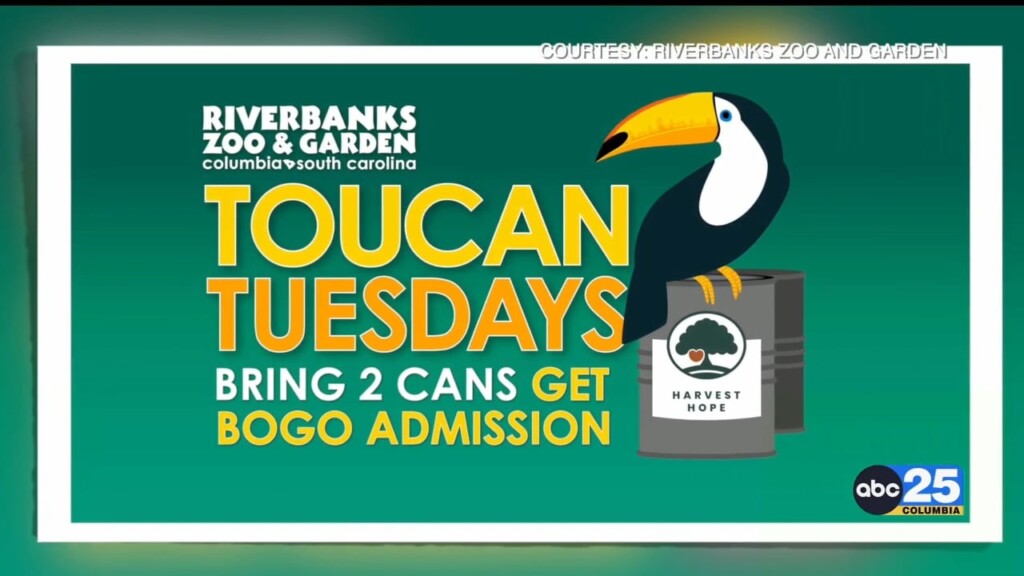 "toucan Tuesdays" Returning To Riverbanks Zoo And Garden