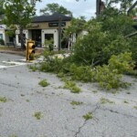 Devine Street And Holly Street 4