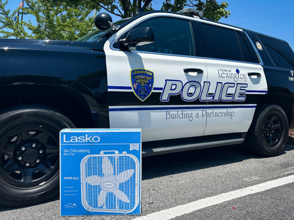 LPD
