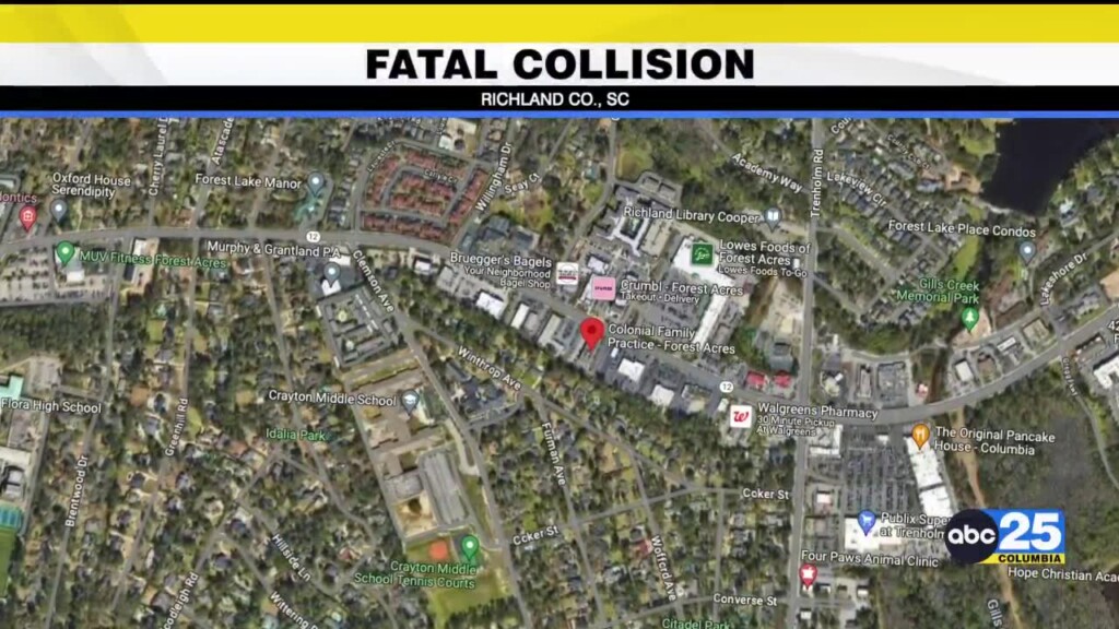 Schp: Deputy Chase Ends In Fatal Tree Collision