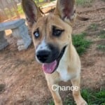 Chance