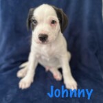 Johnny