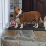 Winnie