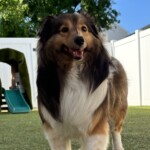 Winston