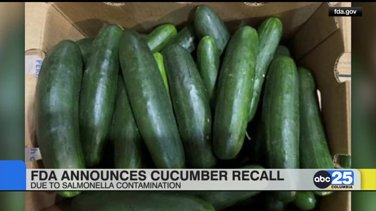 FDA announces cucumber recall in 14 states over potential salmonella contamination ABC Columbia