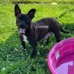 Connie