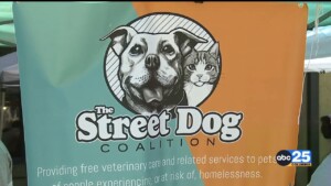 Street Dog Coalition