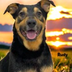 Rudy