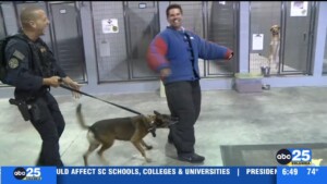 Guardians Night 5k Live Hits