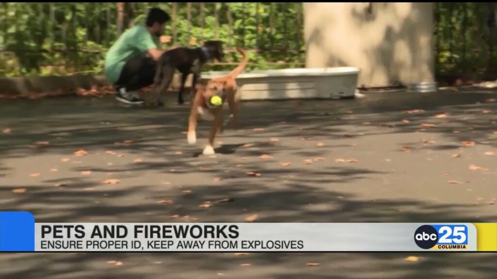 Pets And Fireworks