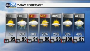 7 Day Forecast July 10, 2024