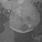 Orangeburg Burglary