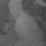 Orangeburg Burglary