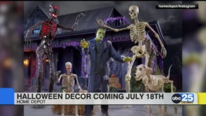Halloween Decor Coming July 18th