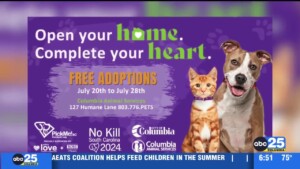 Pet Of The Week Shiela