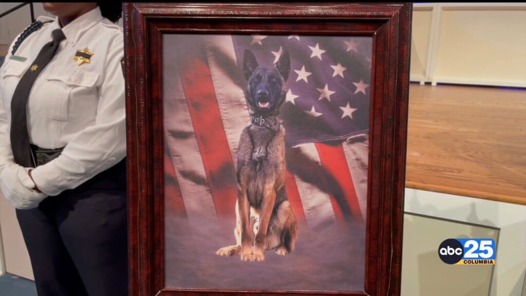 "more Than Just A Dog" Deputies With Rcsd Hold Funeral Service For K 9 Wick