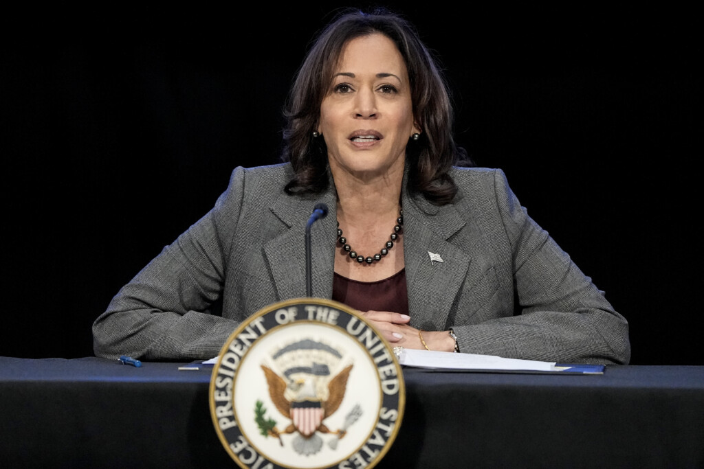 Election 2024 Harris Issues