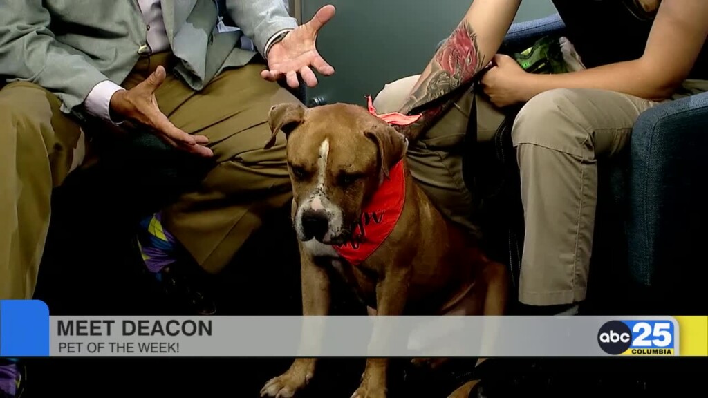 Pet Of The Week Deacon