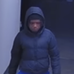 Orangeburg County break-in